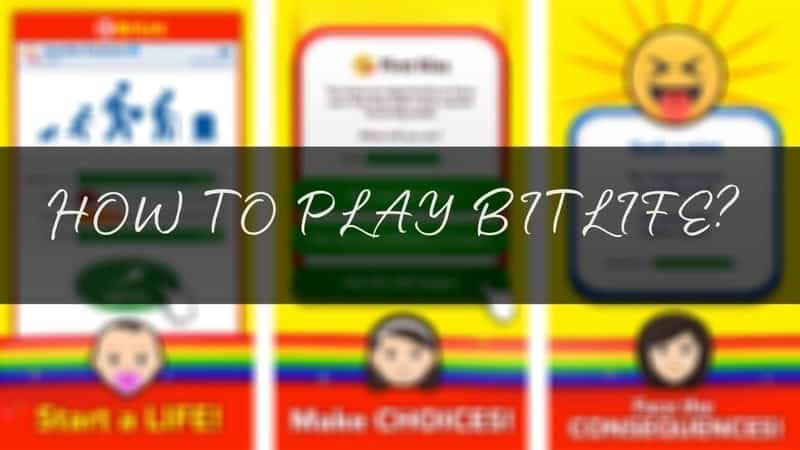 how to play bitlife