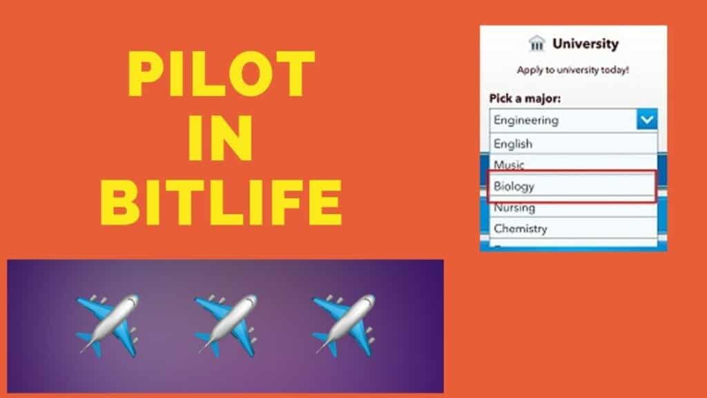 degree pilot bitlife