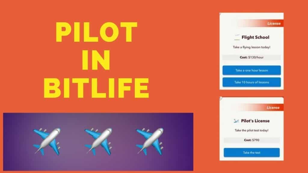 pilot licence bitlife