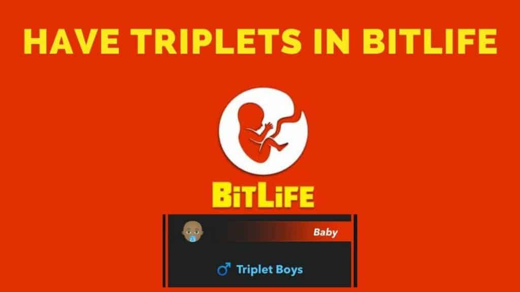 triplets in bitlife