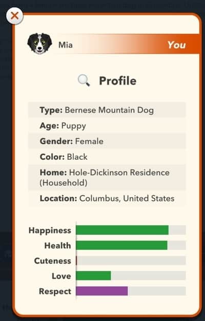 doglife profile